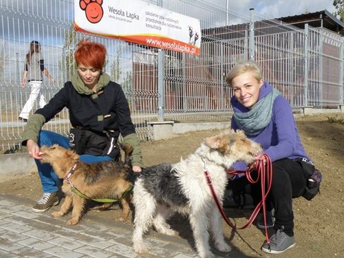 Pierwsi goście odwiedzili schronisko - zdjęcia