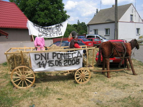 Dni Ponieca (galeria)