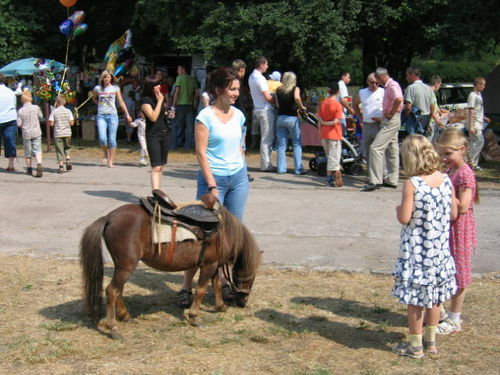 Strażackie zmagania w Pudliszkach (galeria)