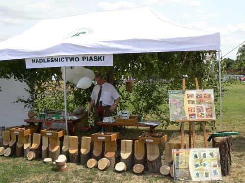 X Dni Piasków - niedziela (galeria)