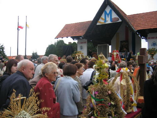 Dziękowali za plony (galeria)