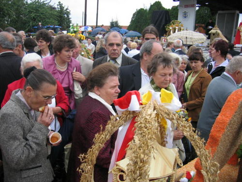 Dziękowali za plony (galeria)