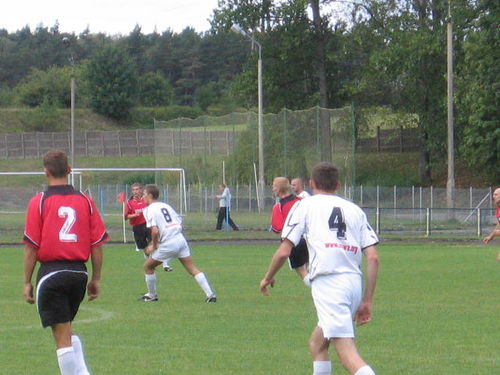 Pewne zwycięstwo Szewy