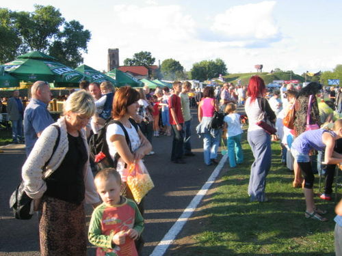 X Dzień Powiatu (galeria)