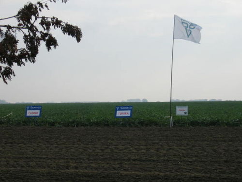 Najnowsze technologie na golskich polach