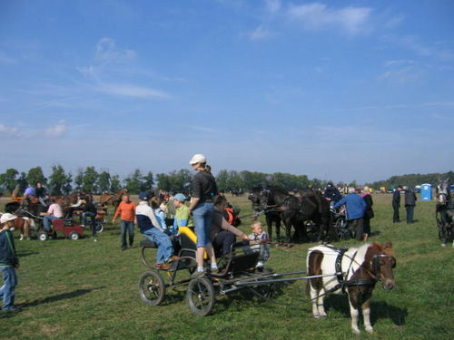 Konno w Podrzeczu (galeria)