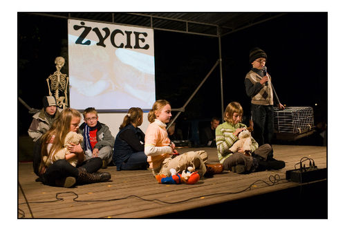 Kochamy nasze cmentarze (zdjęcia)