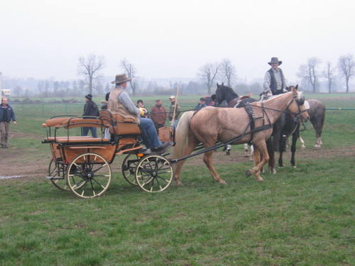 W pogoni za lisem (galeria)