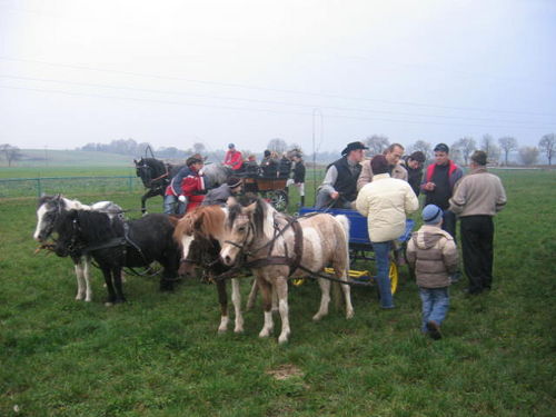 W pogoni za lisem (galeria)