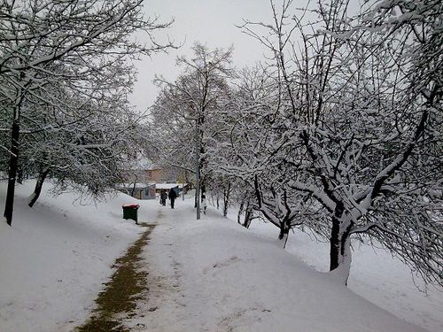 Gostyń w zimowej szacie (zdjęcia)