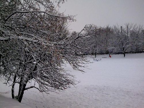 Gostyń w zimowej szacie (zdjęcia)
