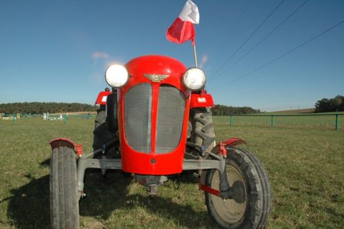 Majówka w październiku udana (galeria)