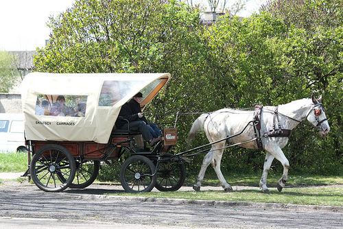 Dzień Ekologii w Grabonogu (galeria)