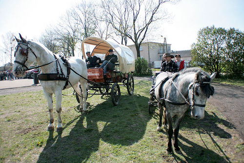 Dzień Ekologii w Grabonogu (galeria)