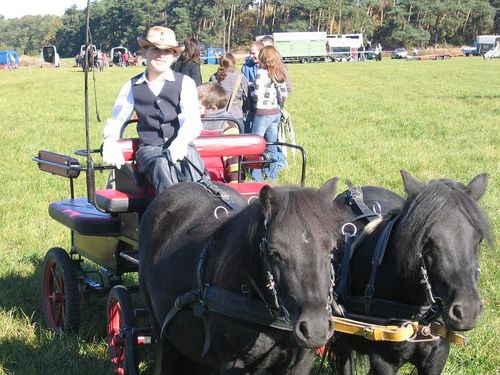 Majówka w październiku udana (galeria)