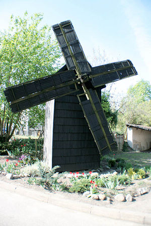 Dzień Ekologii w Grabonogu (galeria)