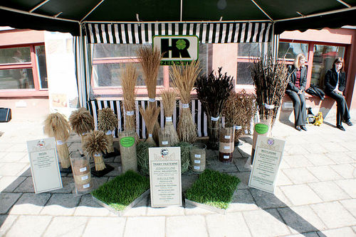 Dzień Ekologii w Grabonogu (galeria)