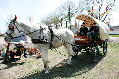 Dzień Ekologii w Grabonogu (galeria)