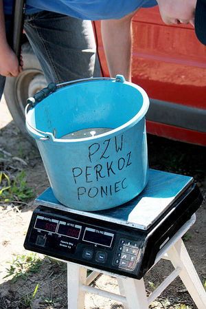 Zmagania wędkarzy w Dzięczynie (galeria)