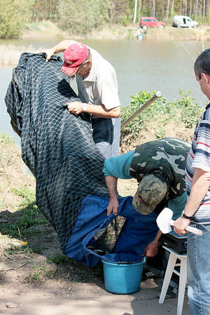 Zmagania wędkarzy w Dzięczynie (galeria)