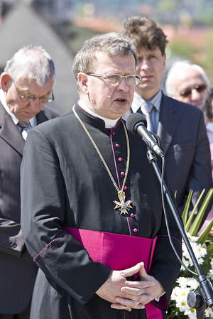 Uczcili 218 rocznicę Konstytucji (galeria)