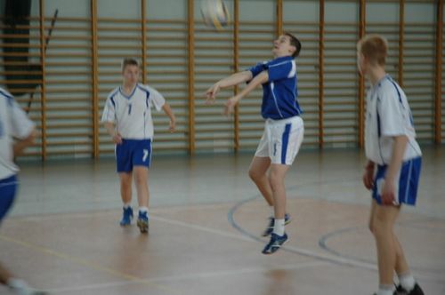 Kaniasiatka w kratkę (galeria)