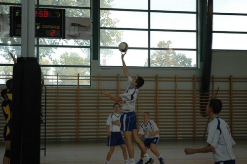 Kaniasiatka w kratkę (galeria)
