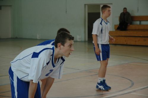 Kaniasiatka w kratkę (galeria)
