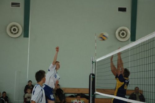 Kaniasiatka w kratkę (galeria)