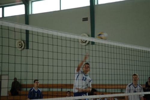 Kaniasiatka w kratkę (galeria)