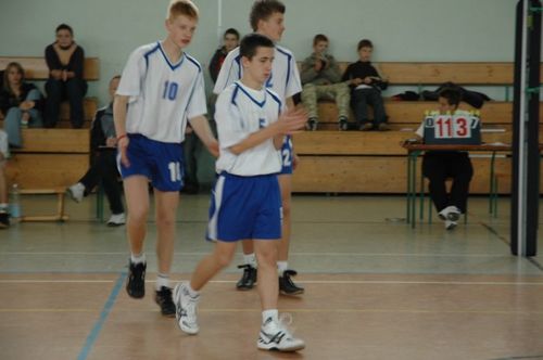 Kaniasiatka w kratkę (galeria)