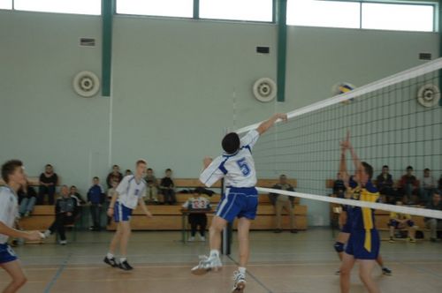 Kaniasiatka w kratkę (galeria)
