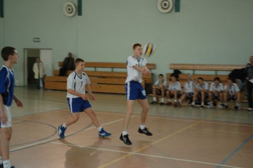 Kaniasiatka w kratkę (galeria)