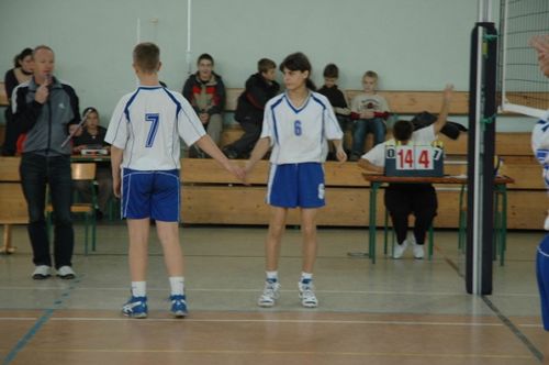Kaniasiatka w kratkę (galeria)