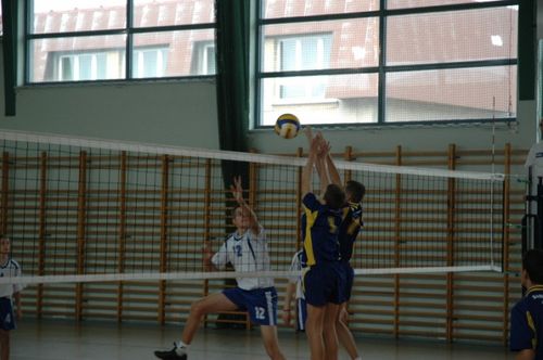Kaniasiatka w kratkę (galeria)