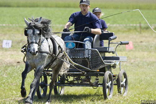 Kolejny raz się udało - fotorelacja