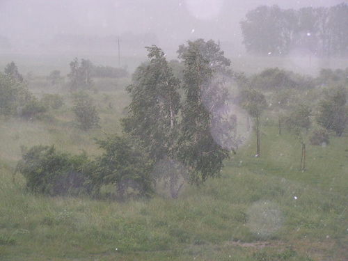 Obyło się bez większych strat - zdjęcia