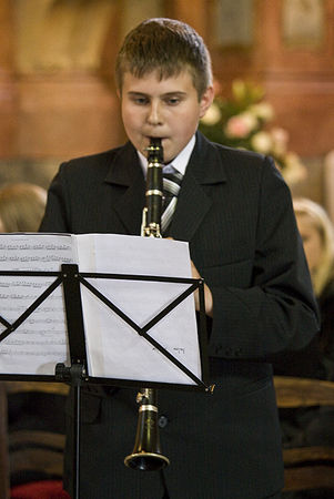 W hołdzie Zeidlerowi - galeria