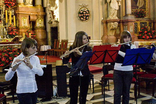 W hołdzie Zeidlerowi - galeria