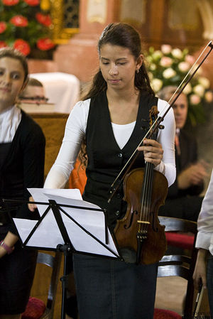 W hołdzie Zeidlerowi - galeria