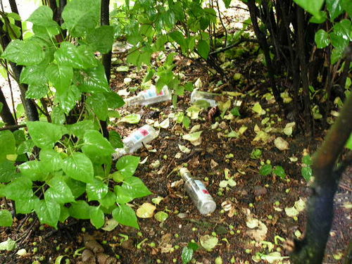 Dla kogo Planty? - zdjęcia