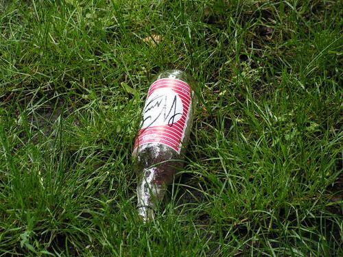 Dla kogo Planty? - zdjęcia