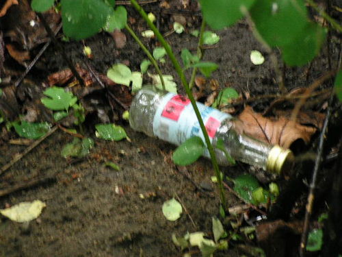 Dla kogo Planty? - zdjęcia