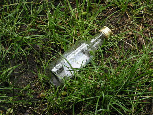 Dla kogo Planty? - zdjęcia