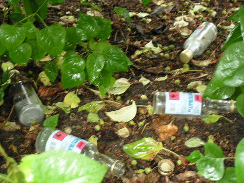 Dla kogo Planty? - zdjęcia