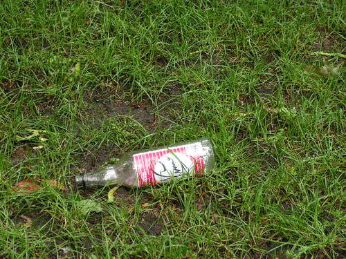 Dla kogo Planty? - zdjęcia