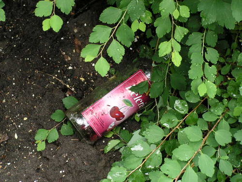 Dla kogo Planty? - zdjęcia