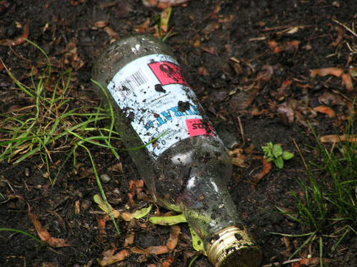 Dla kogo Planty? - zdjęcia