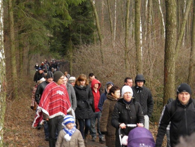 Pobili rekord w lodowatej wodzie - zdjęcia