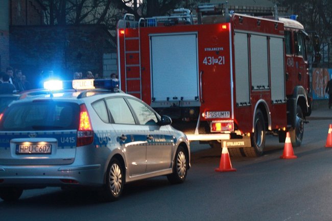 Efekt wiosennej brawury - zdjęcia